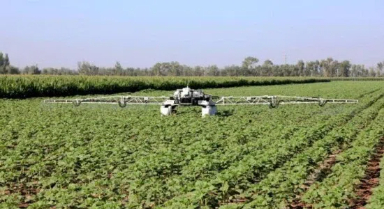 新型機器人進田間