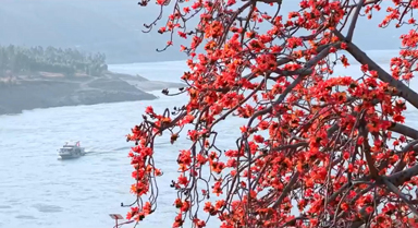 攀枝花長(zhǎng)啥樣？到攀枝花去看看